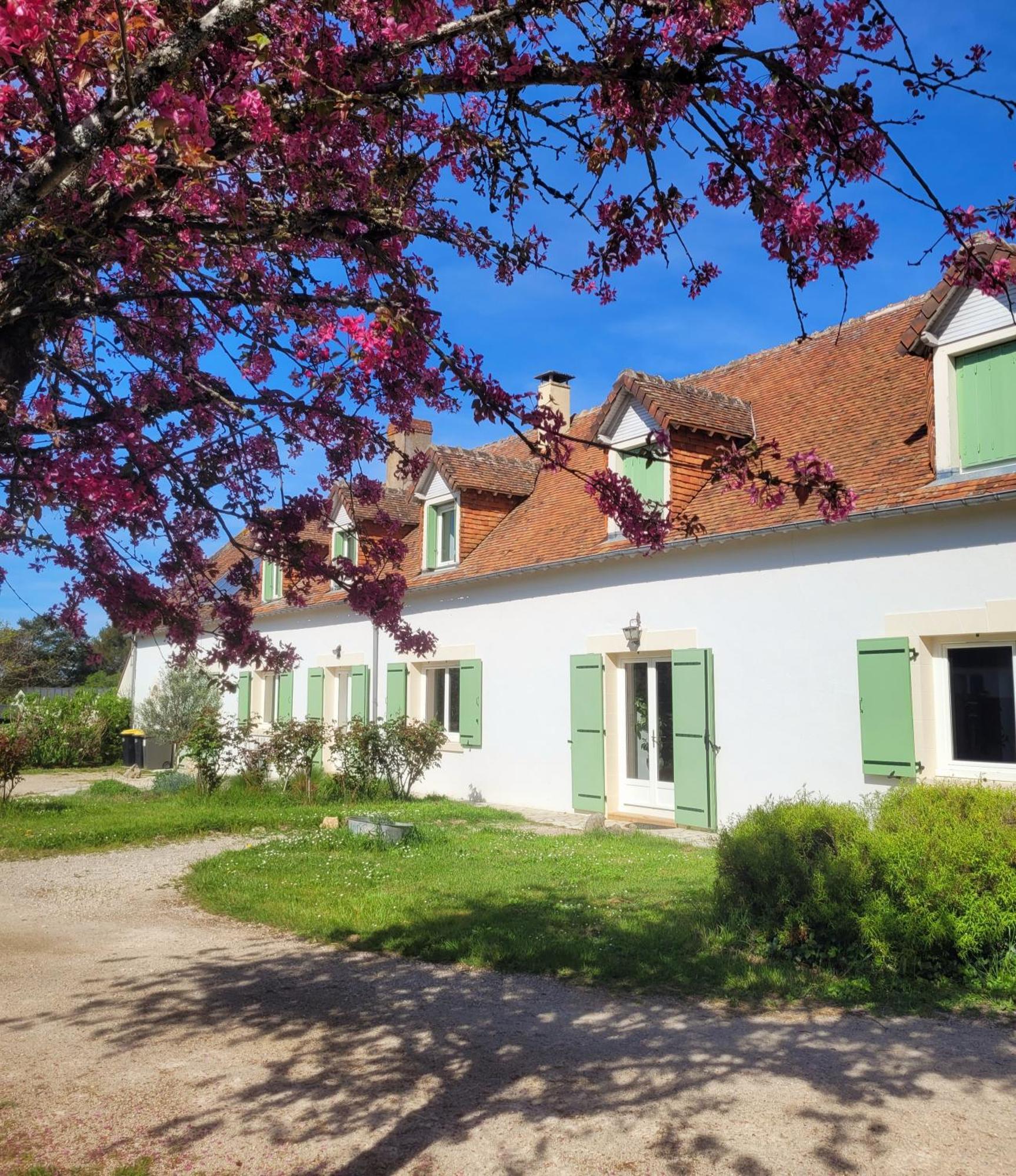 L Amalia Au Coeur Des Chateaux De La Loire Et Du Zoo De Beauval Sambin Eksteriør billede